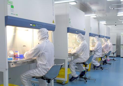 植物細(xì)胞實驗室如何施工建設(shè)